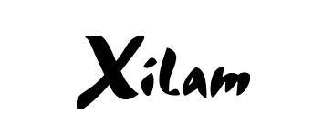 Logo de notre client Xilam
